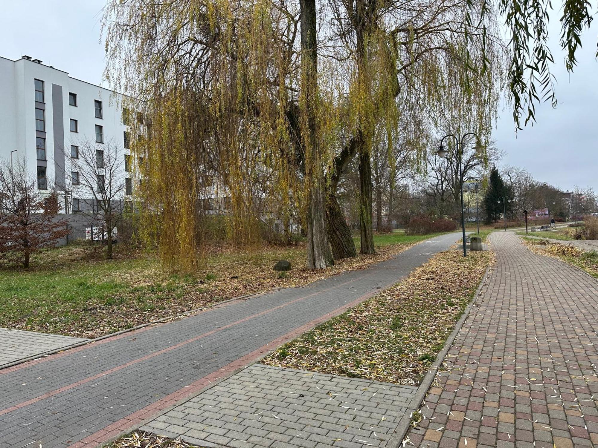 Apartment Kosciuszki 33f *